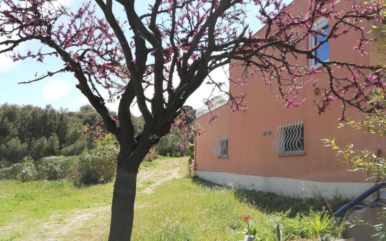 Studio 28M2 Climatise,Wifi, Proche Des Calanques,Plages Ла-Сьота Экстерьер фото