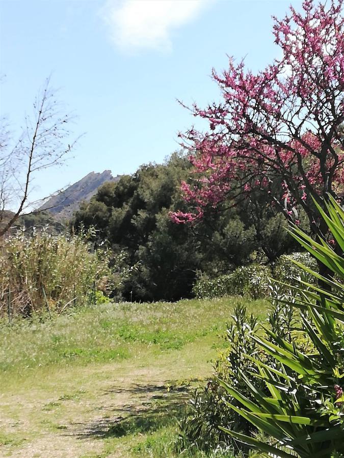 Studio 28M2 Climatise,Wifi, Proche Des Calanques,Plages Ла-Сьота Экстерьер фото